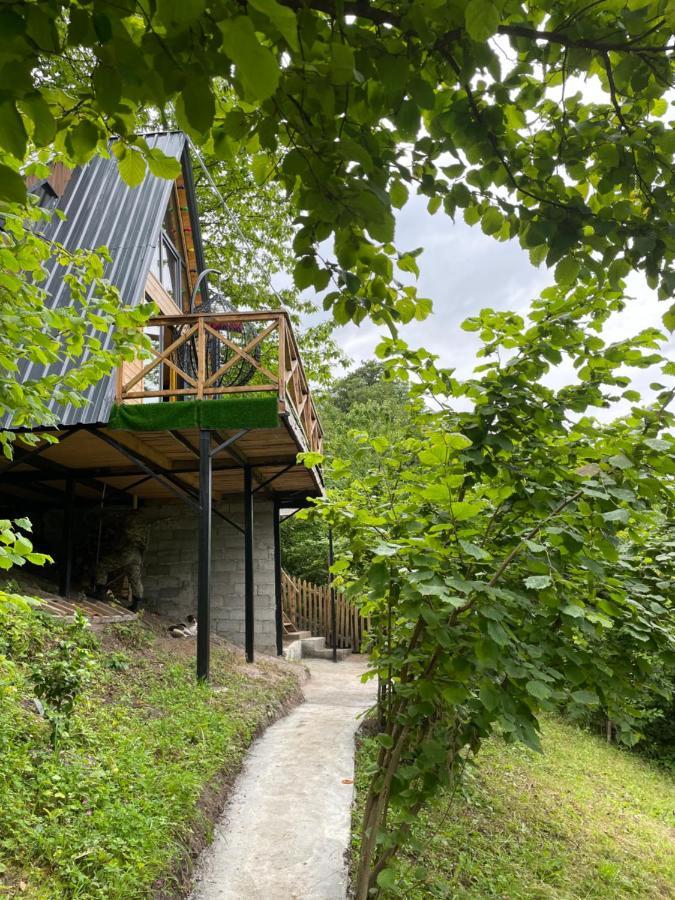 Forest House Dandalo Eksteriør bilde
