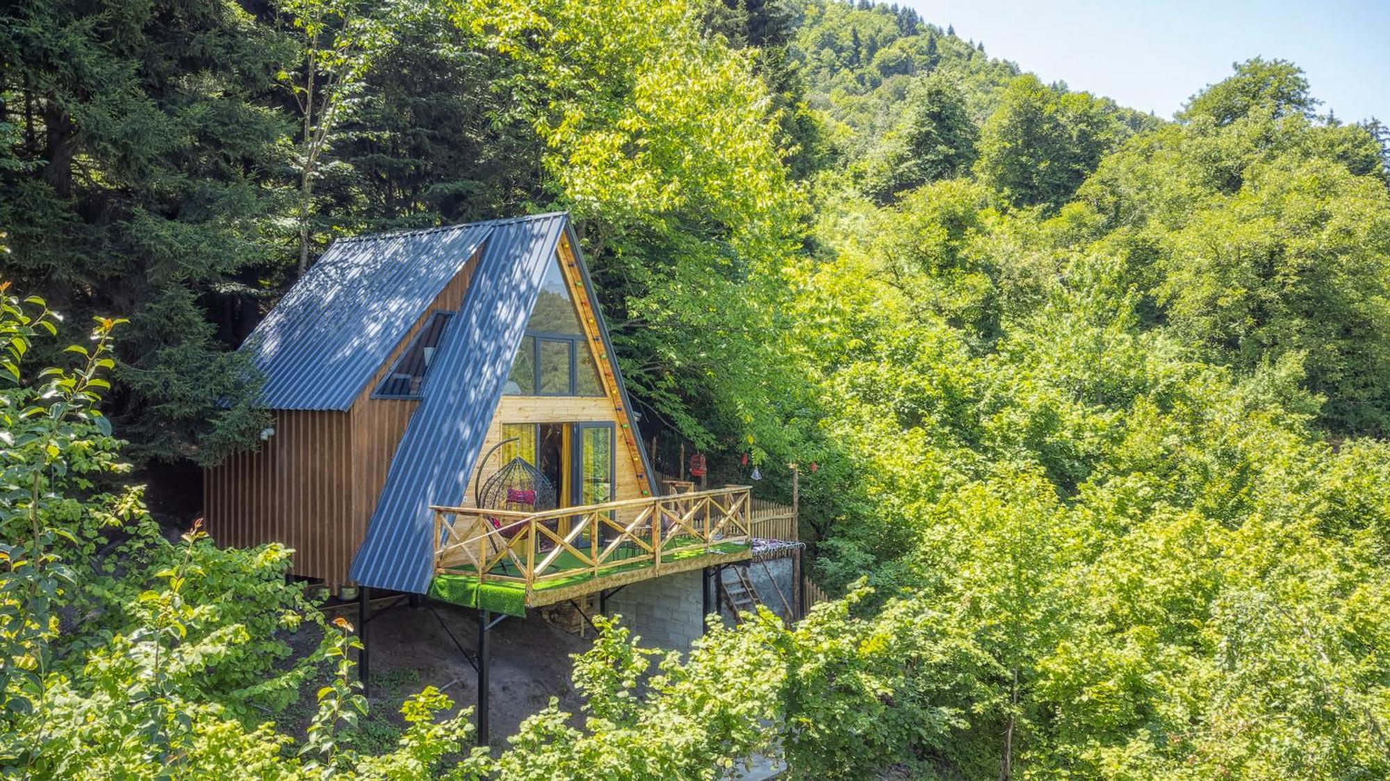 Forest House Dandalo Eksteriør bilde